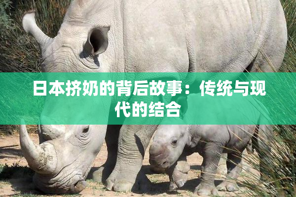日本挤奶的背后故事：传统与现代的结合