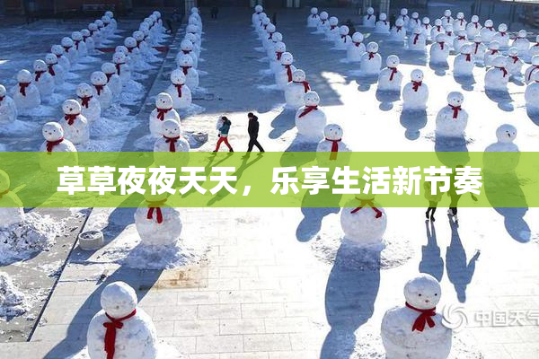 草草夜夜天天，乐享生活新节奏