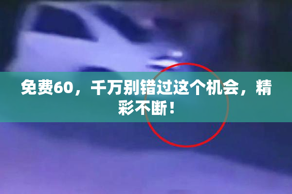 免费60，千万别错过这个机会，精彩不断！