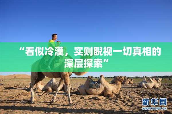 “看似冷漠，实则睨视一切真相的深层探索”
