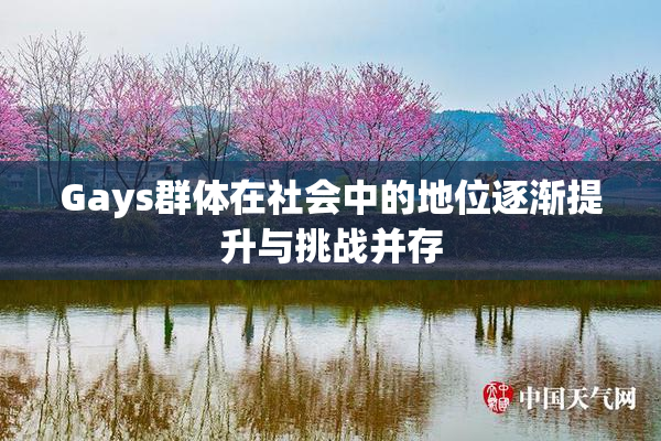 Gays群体在社会中的地位逐渐提升与挑战并存