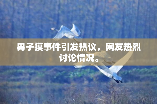 男子摸事件引发热议，网友热烈讨论情况。
