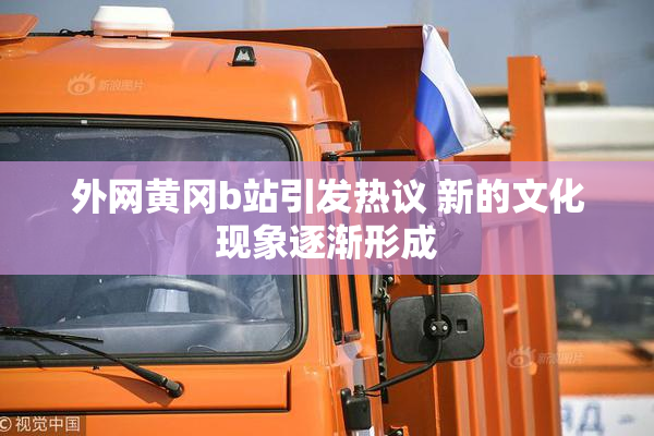 外网黄冈b站引发热议 新的文化现象逐渐形成