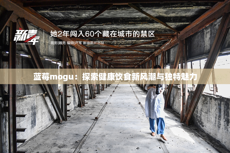蓝莓mogu：探索健康饮食新风潮与独特魅力