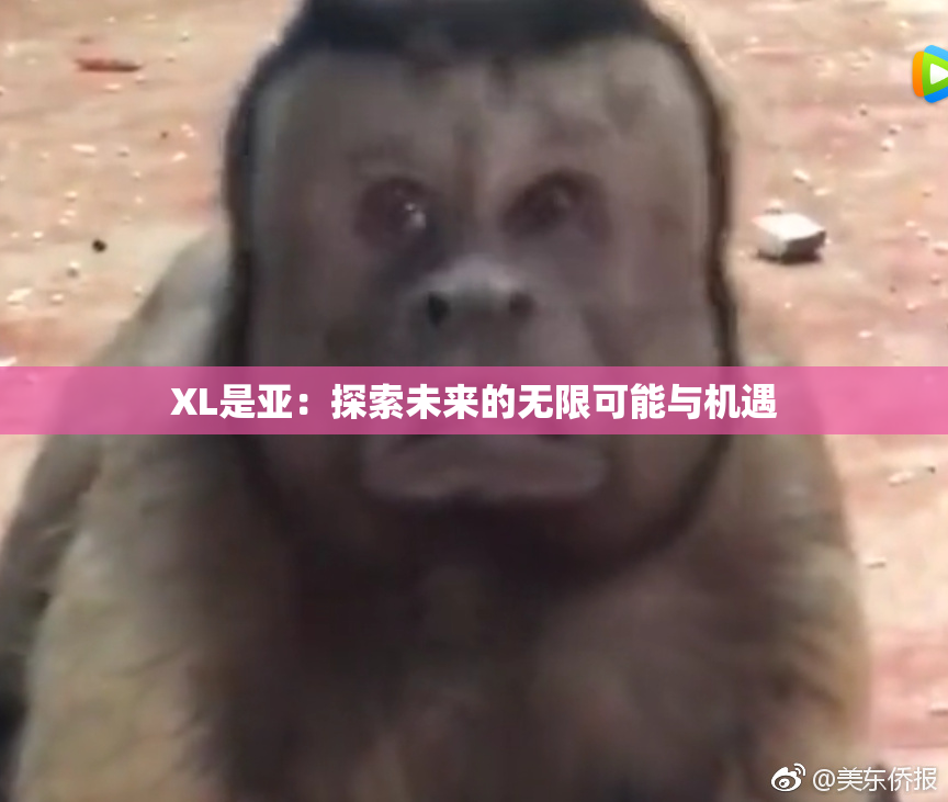 XL是亚：探索未来的无限可能与机遇
