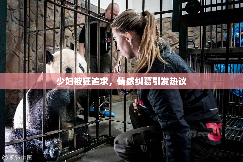 少妇被狂追求，情感纠葛引发热议