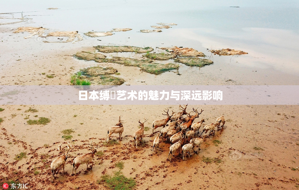 日本缚縄艺术的魅力与深远影响