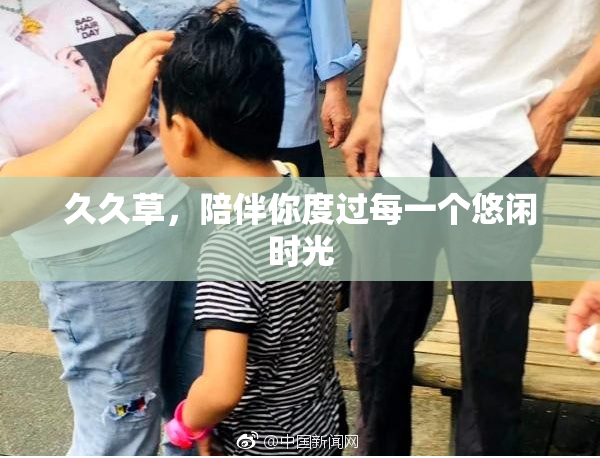 久久草，陪伴你度过每一个悠闲时光