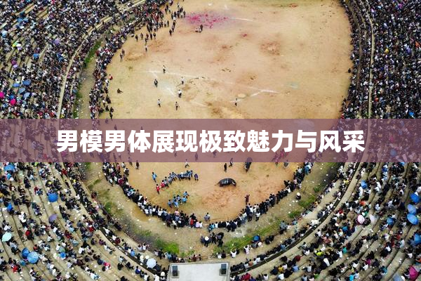 男模男体展现极致魅力与风采