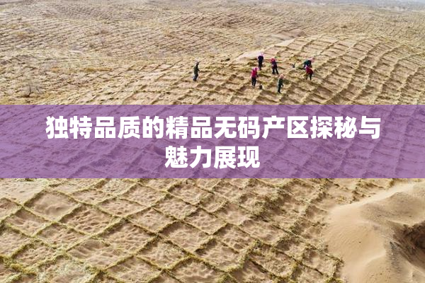 独特品质的精品无码产区探秘与魅力展现