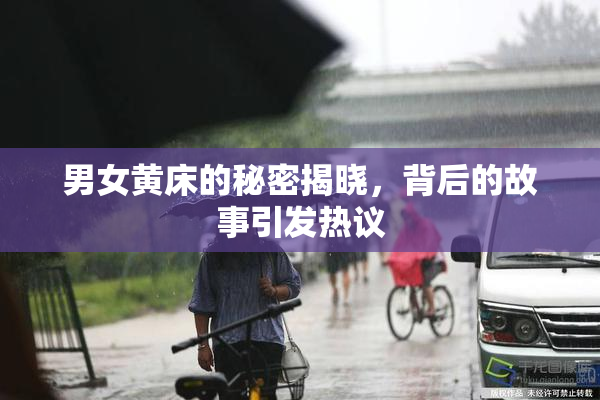 男女黄床的秘密揭晓，背后的故事引发热议