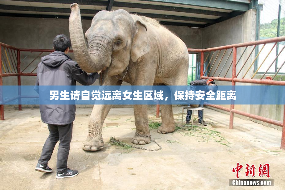 男生请自觉远离女生区域，保持安全距离