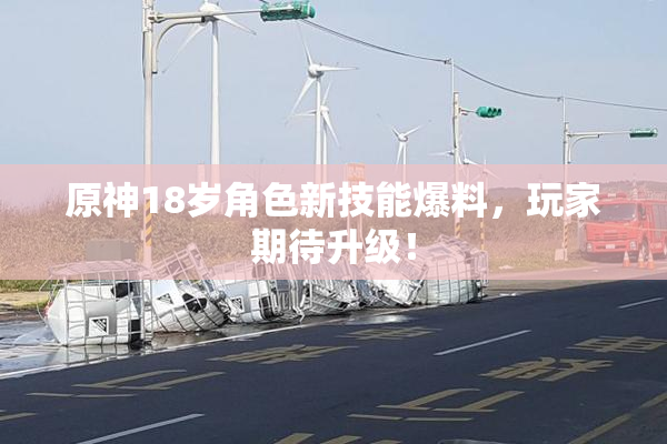 原神18岁角色新技能爆料，玩家期待升级！