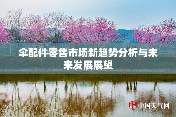 伞配件零售市场新趋势分析与未来发展展望