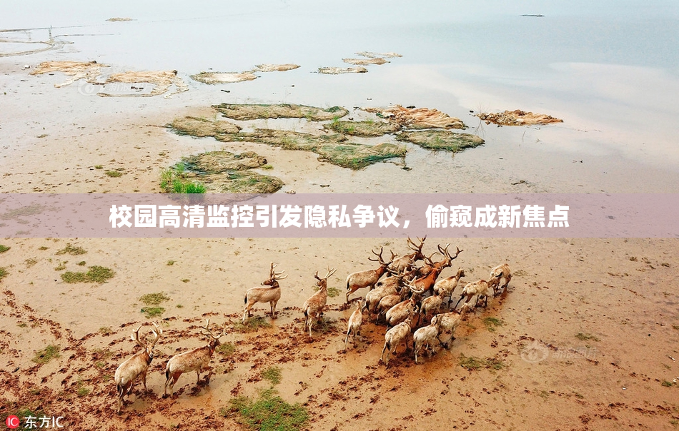 校园高清监控引发隐私争议，偷窥成新焦点