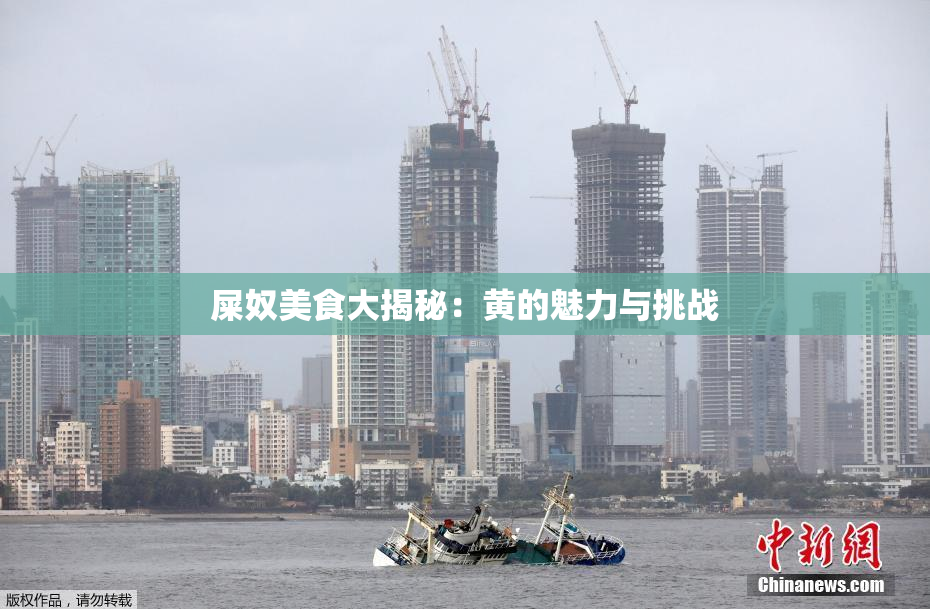 屎奴美食大揭秘：黄的魅力与挑战