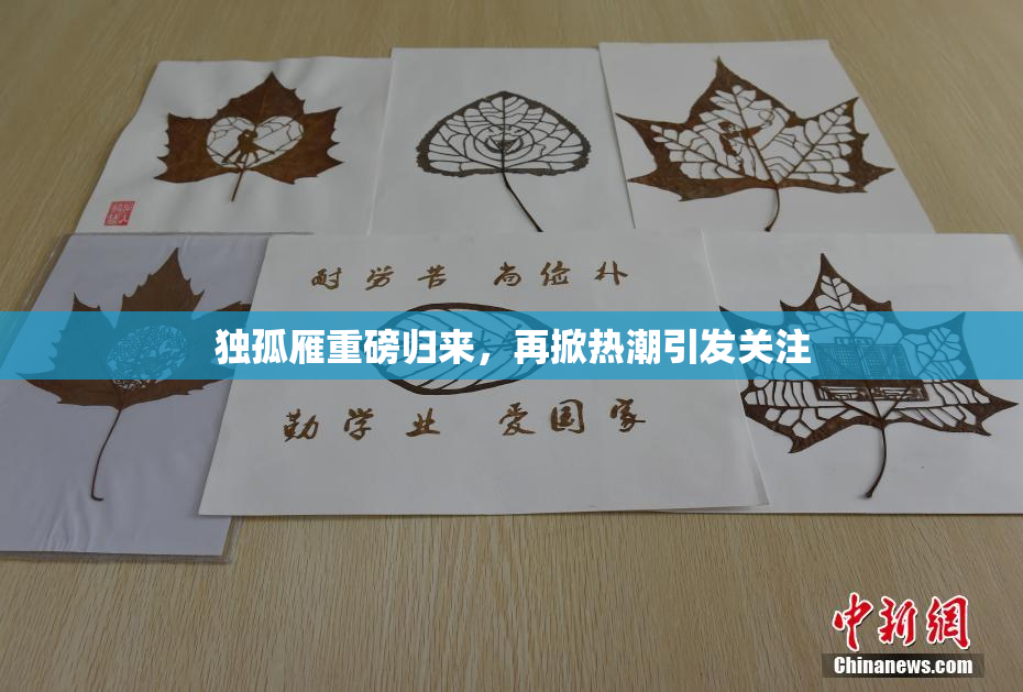 独孤雁重磅归来，再掀热潮引发关注