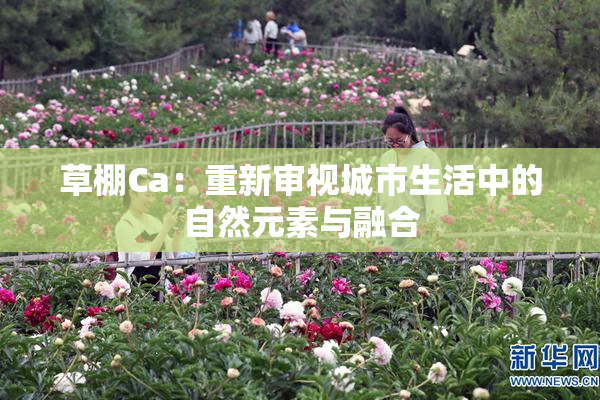 草棚Ca：重新审视城市生活中的自然元素与融合