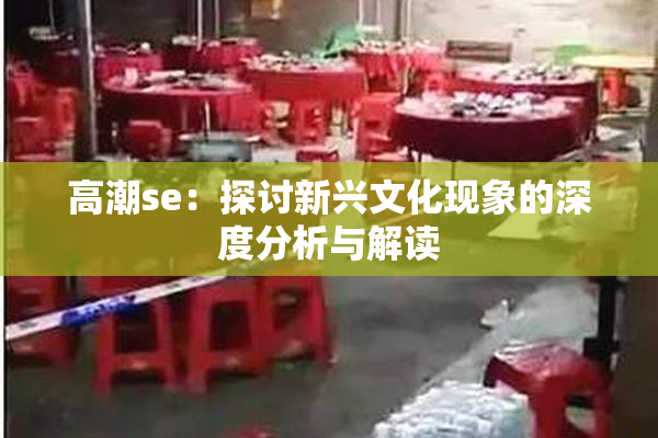 高潮se：探讨新兴文化现象的深度分析与解读