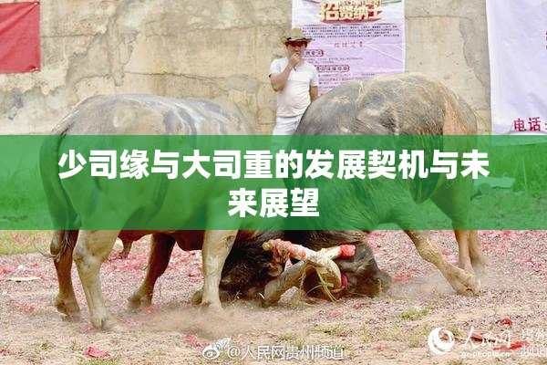 少司缘与大司重的发展契机与未来展望