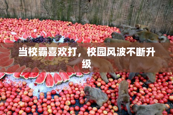 当校霸喜欢打，校园风波不断升级