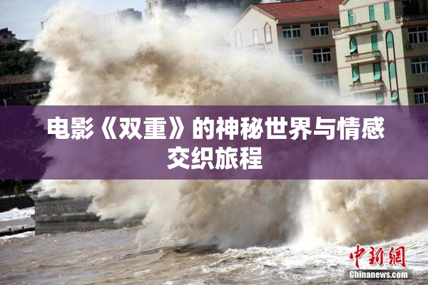 电影《双重》的神秘世界与情感交织旅程