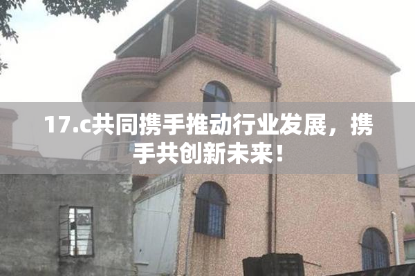 17.c共同携手推动行业发展，携手共创新未来！