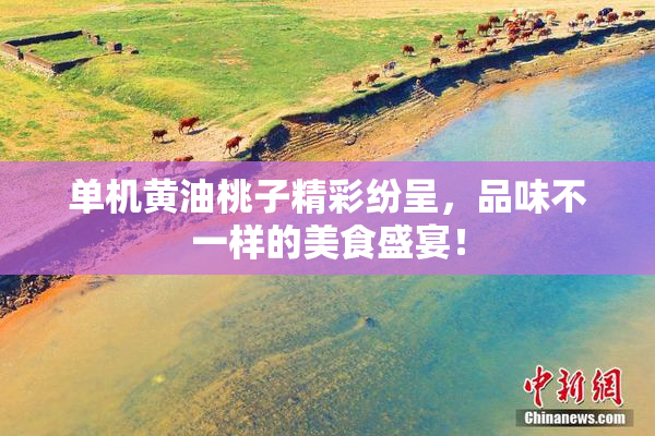 单机黄油桃子精彩纷呈，品味不一样的美食盛宴！