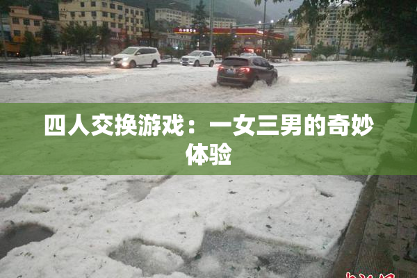 四人交换游戏：一女三男的奇妙体验