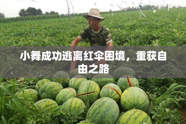 小舞成功逃离红伞困境，重获自由之路