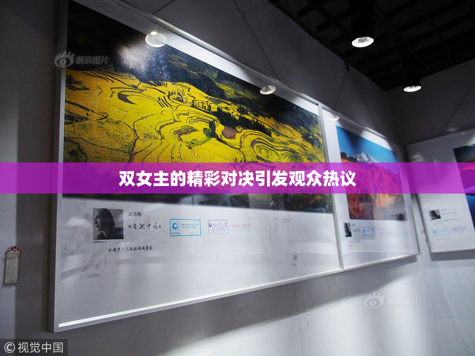 双女主的精彩对决引发观众热议