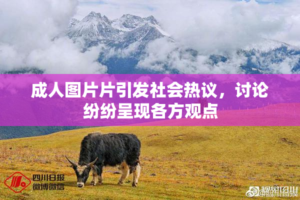 成人图片片引发社会热议，讨论纷纷呈现各方观点