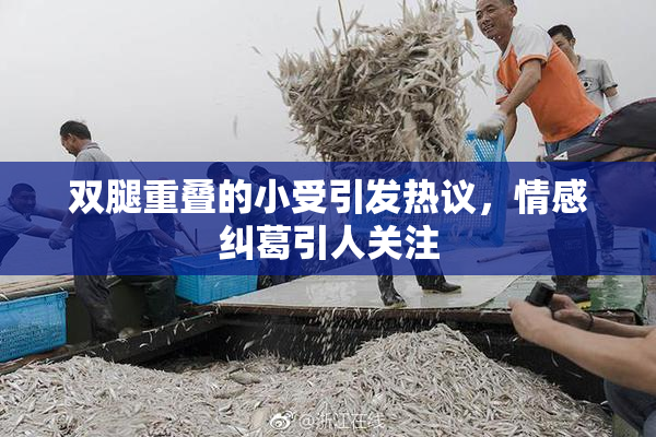 双腿重叠的小受引发热议，情感纠葛引人关注
