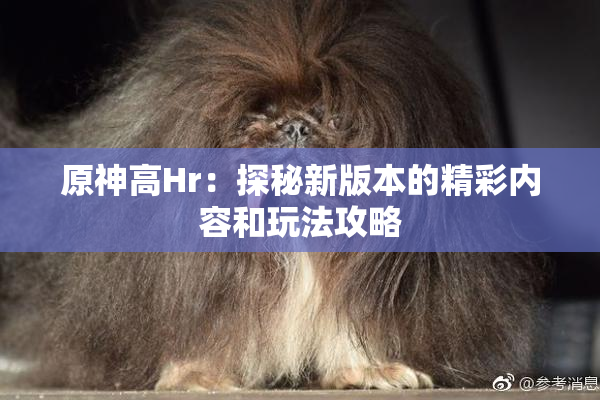 原神高Hr：探秘新版本的精彩内容和玩法攻略