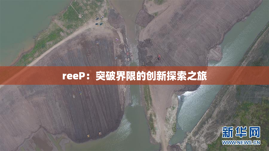 reeP：突破界限的创新探索之旅