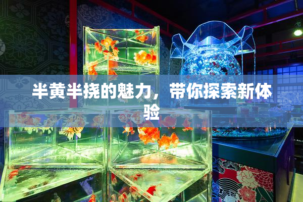 半黄半挠的魅力，带你探索新体验