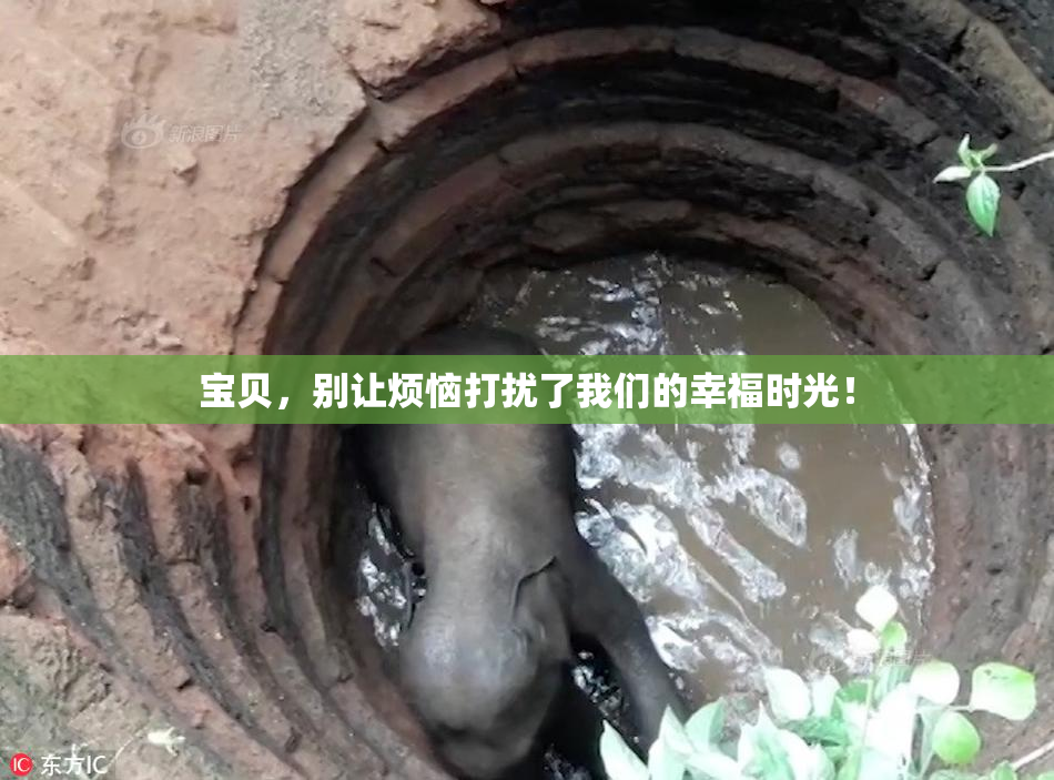 宝贝，别让烦恼打扰了我们的幸福时光！