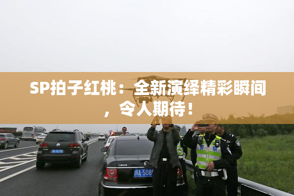 SP拍子红桃：全新演绎精彩瞬间，令人期待！