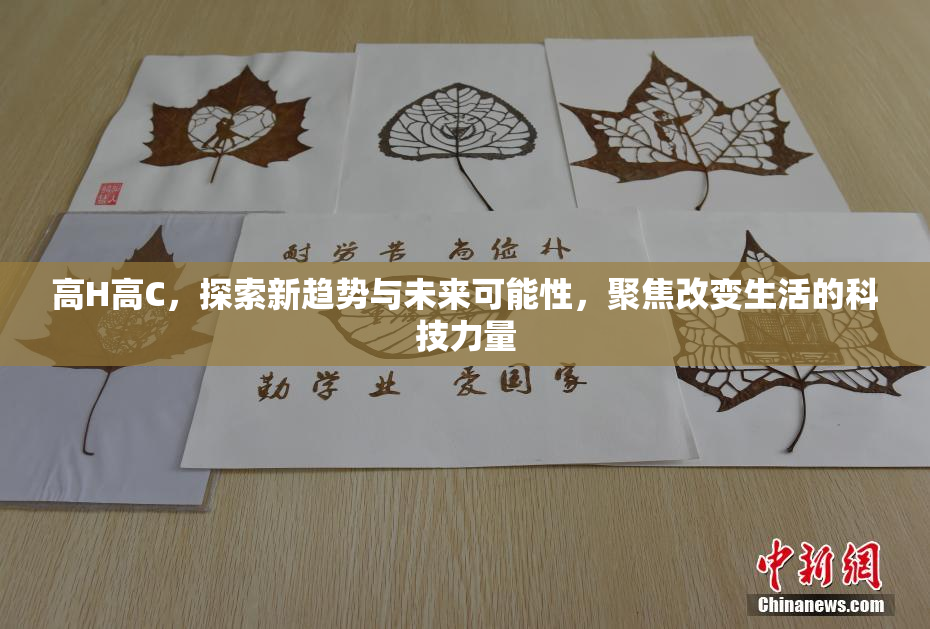 高H高C，探索新趋势与未来可能性，聚焦改变生活的科技力量