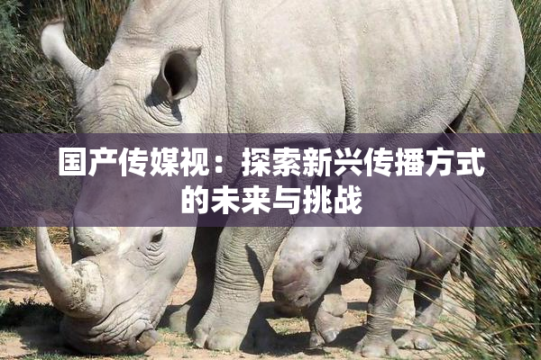 国产传媒视：探索新兴传播方式的未来与挑战