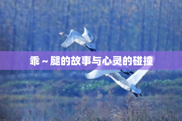 乖～腿的故事与心灵的碰撞