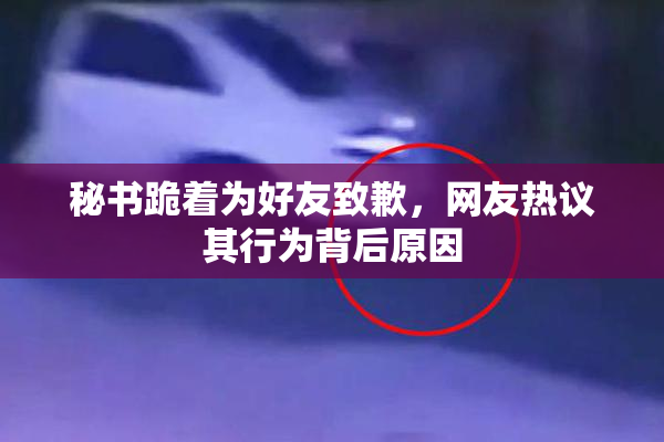 秘书跪着为好友致歉，网友热议其行为背后原因