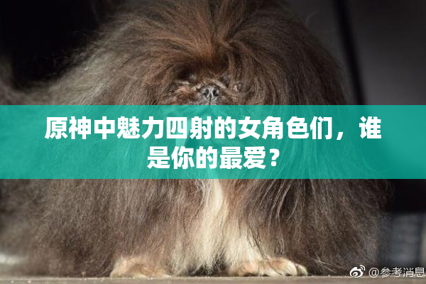 原神中魅力四射的女角色们，谁是你的最爱？