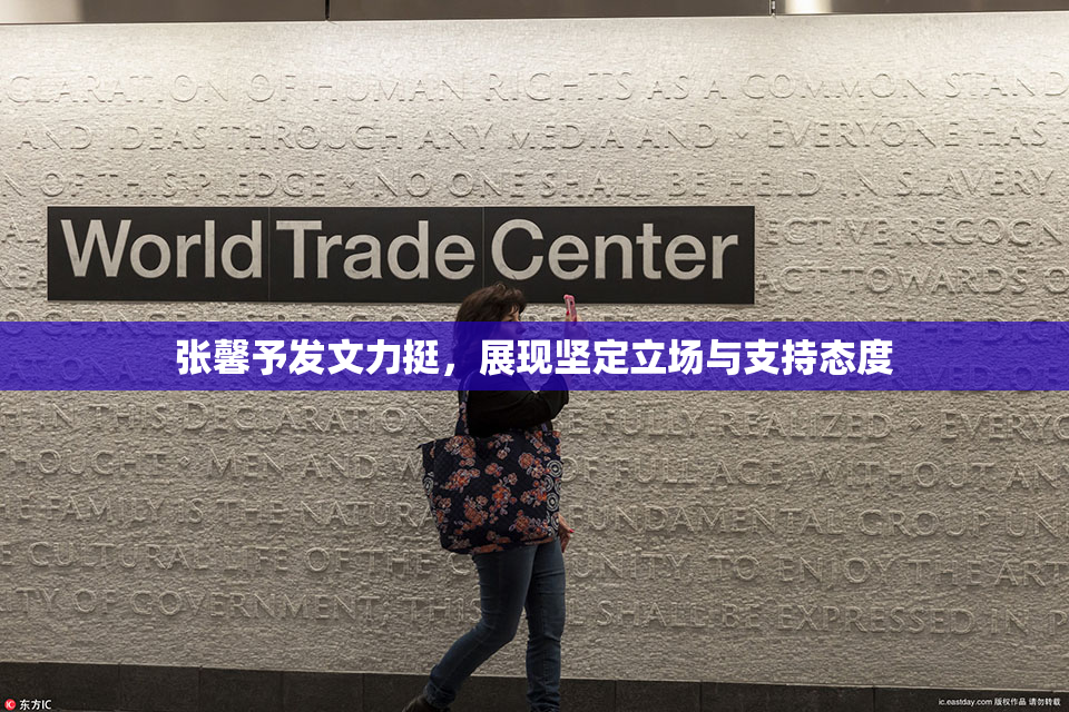 张馨予发文力挺，展现坚定立场与支持态度