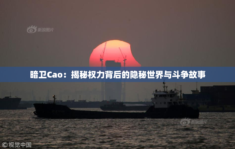 暗卫Cao：揭秘权力背后的隐秘世界与斗争故事