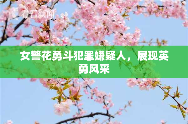 女警花勇斗犯罪嫌疑人，展现英勇风采