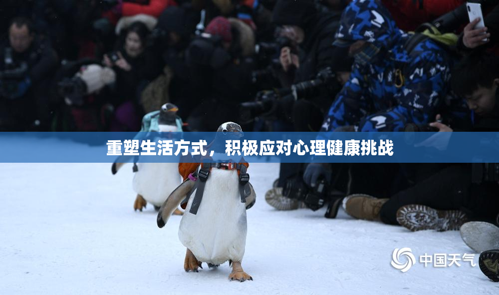 重塑生活方式，积极应对心理健康挑战