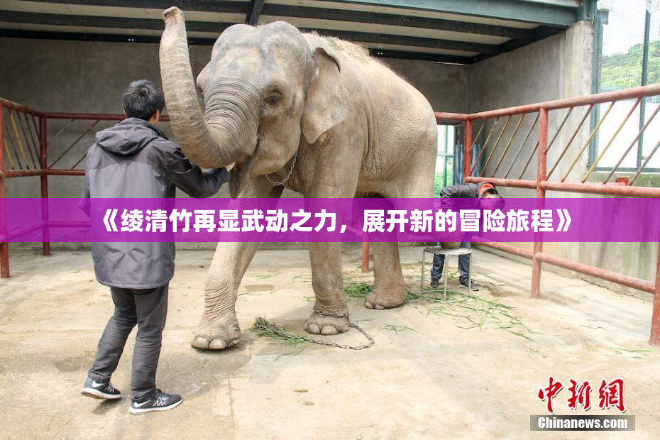 《绫清竹再显武动之力，展开新的冒险旅程》