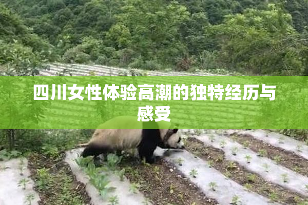 四川女性体验高潮的独特经历与感受