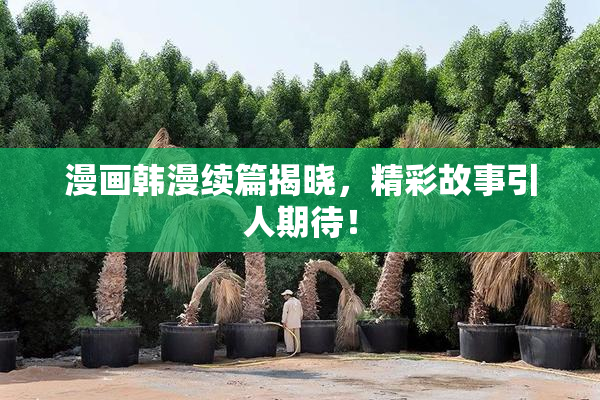 漫画韩漫续篇揭晓，精彩故事引人期待！
